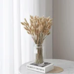 Dried Bunny Tail Grass - Image 14