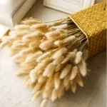 Dried Bunny Tail Grass - Image 12