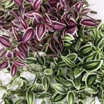 Artificial Hanging Vine - Image 10