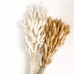 Tall Pampas Vase Arrangement - Image 6