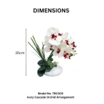 Ivory Cascade Orchid Arrangement - Image 2