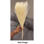 Dried Wheat Bundle - Image 6