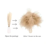 Dried Wheat Bundle - Image 7