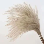 Dried Wheat Bundle - Image 8