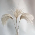 Dried Wheat Bundle - Image 9