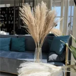 Dried Wheat Bundle - Image 13