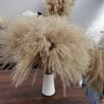 Dried Wheat Bundle - Image 11