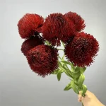 Artificial Craspedia Stem - Image 13
