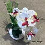 Ivory Cascade Orchid Arrangement - Image 3