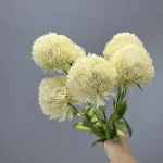 Artificial Craspedia Stem - Image 16