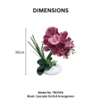 Blush Cascade Orchid Arrangement - Image 2