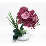 Blush Cascade Orchid Arrangement - Image 3
