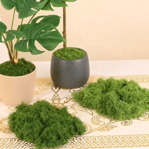 Premium Decorative Loose Moss