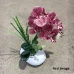 Blush Cascade Orchid Arrangement - Image 4