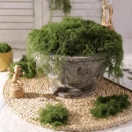 Premium Decorative Loose Moss - Image 7