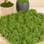 Premium Decorative Loose Moss - Image 13