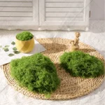 Premium Decorative Loose Moss - Image 14