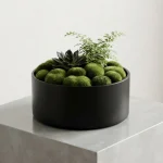 Decorative Moss Stones