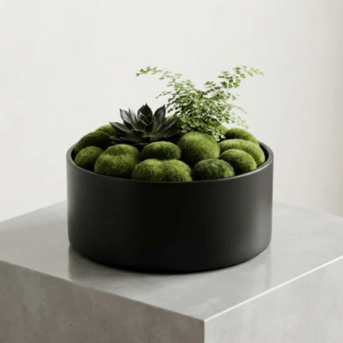 Decorative Moss Stones