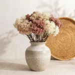 Rice Fruit Filler Flower Collection